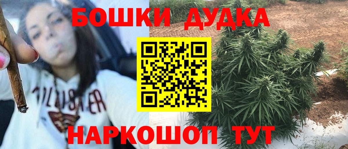 Конопля White Widow  Вход с VPN  Новодвинск  Шишки марихуана AK-47  Конопля AK-47 
